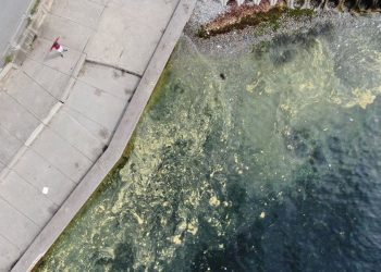 Marmara Denizi’nde kaygı veren manzara: Müsilaj felaketi tekrar geri mi dönüyor?