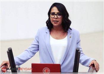 Sera Kadıgil Kimdir? Hangi İlden TİP’in Adayı Olacak?