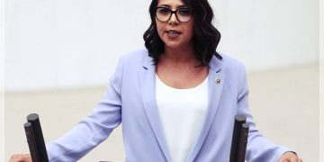 Sera Kadıgil Kimdir? Hangi İlden TİP’in Adayı Olacak?
