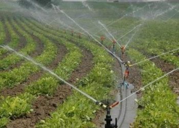 Devlet, tarımsal sulama ücretinin yüzde 50’sini karşılayacak