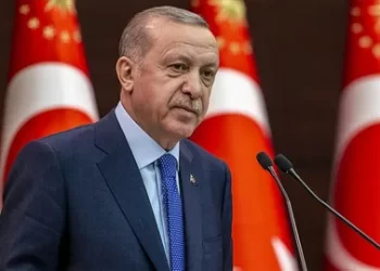 Erdoğan yurt dışı seçmenine teşekkür etti