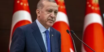 Erdoğan yurt dışı seçmenine teşekkür etti