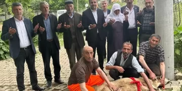 Erdoğan kazandı, Muş’ta 83 yaşındaki nine koç kestirdi