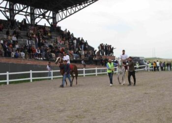 Malazgirt’te 19 Mayıs etkinliğinde at yarışı heyecanı