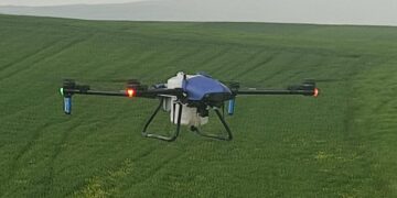 Muş Malazgirt’te drone ile ilaçlama dönemi
