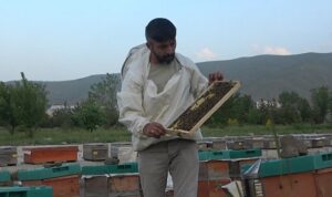 mus ta 600 ton bal uretimi hedefleniyor1 habermeydan
