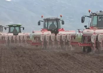 Muş’ta bu yıl şeker pancarından 2 milyar TL gelir bekleniyor