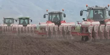 Muş’ta bu yıl şeker pancarından 2 milyar TL gelir bekleniyor