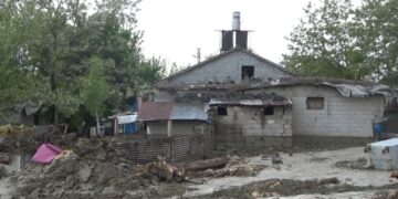 Muş’ta etkili olan sağanak sele neden oldu