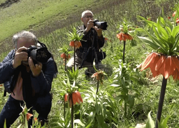 Muş’ta ters laleleri görmek için 2 saat yürüdüler