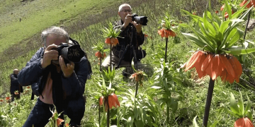 Muş’ta ters laleleri görmek için 2 saat yürüdüler