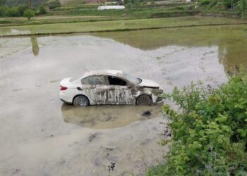 Sinop’ta otomobil çeltik tarlasına uçtu