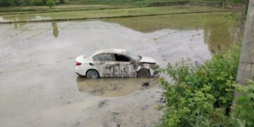 Sinop’ta otomobil çeltik tarlasına uçtu