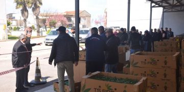 Sinop’ta çiftçilere 80 bin sebze fidesi dağıtıldı