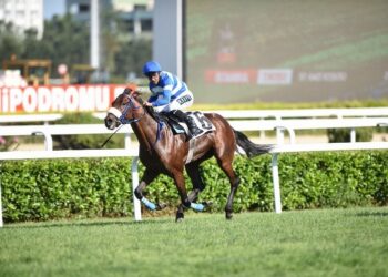 97. Gazi Koşusu’nu Urfa Aslanı kazandı