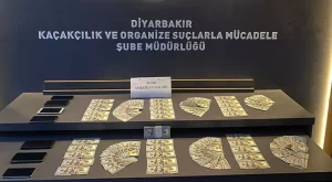 FETO2 habermeydan