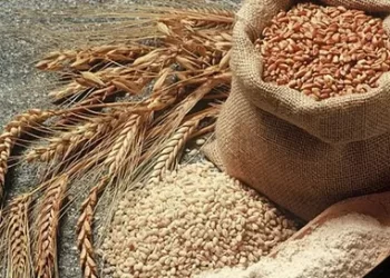 TMO’dan Hububat açıklaması