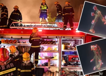 Festivalde korkunç bir patlama meydana geldi; 31’den fazla kişi hayatını kaybetti