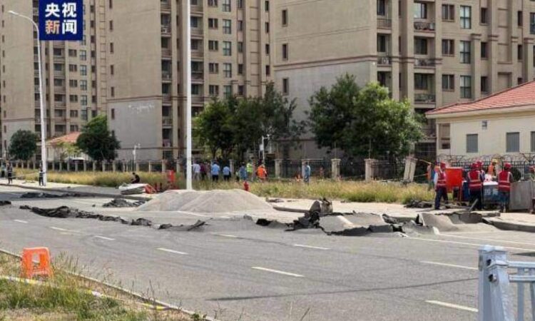 cin yol habermeydan