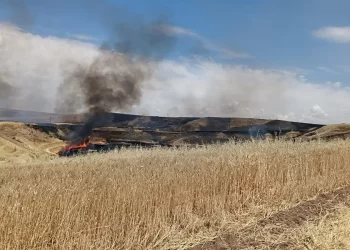 Diyarbakır’da arazi kavgasında 9 ölü, 2 yaralı