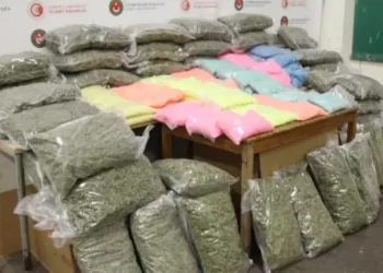 Kapıkule’de zehir tacirlerine yönelik operasyon gerçekleştirildi