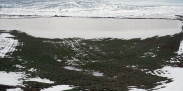 Konya’da etkili yağış ekili arazileri su altında bıraktı