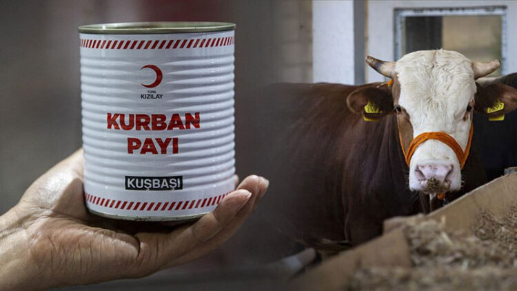 kurban fiyatlari habermeydan