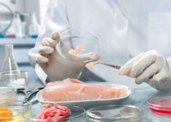 ABD’de laboratuvarda üretilen tavuk eti satışı onaylandı