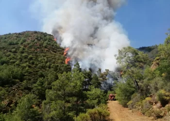 Marmaris’te dehşet verici orman yangını! Sebep herkesi şaşırttı