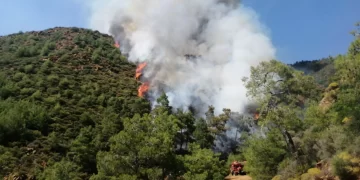 Marmaris’te dehşet verici orman yangını! Sebep herkesi şaşırttı