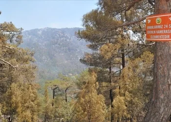 Muğla’da ormanlara bazı bölgelerde giriş yasağı getirildi