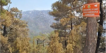 Muğla’da ormanlara bazı bölgelerde giriş yasağı getirildi