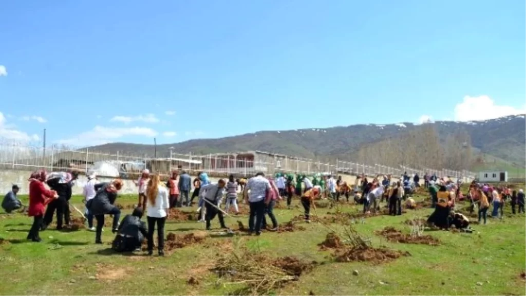 mus ta 200 fidan dikildi habermeydan