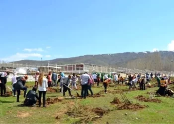 Muş’ta 200 Fidan Dikildi