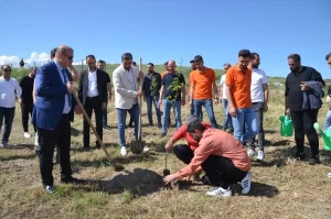 mus ta 200 fidan dikildi1 habermeydan