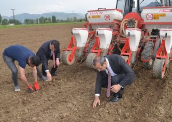 Muş’ta silajlık soya ekimi yapıldı