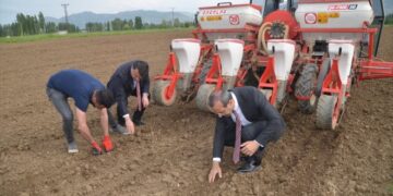 Muş’ta silajlık soya ekimi yapıldı