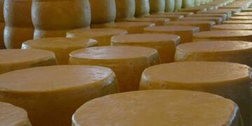 Muş’ta üretilen eski kaşar peyniri coğrafi işaret belgesi aldı