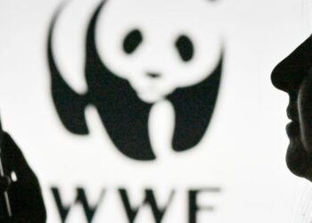 Rusya, Doğal Hayatı Koruma Vakfı’nın faaliyetlerini durdurdu