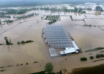 Sinop’ta sera ve çeltik tarlalarını sel suları vurdu