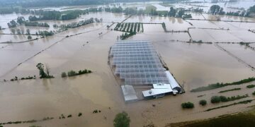 Sinop’ta sera ve çeltik tarlalarını sel suları vurdu