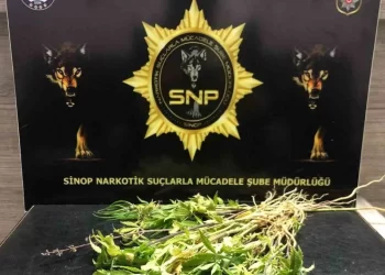 Sinop’ta uyuşturucu operasyonu