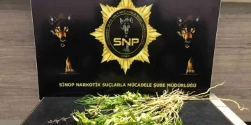 Sinop’ta uyuşturucu operasyonu