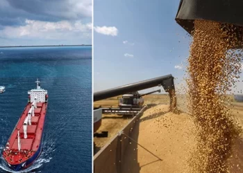 BM, tahıl koridoru anlaşmasının devamı için çağrıda bulundu