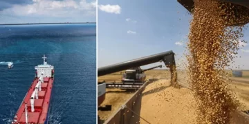 BM, tahıl koridoru anlaşmasının devamı için çağrıda bulundu