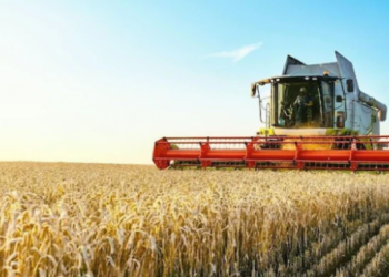 Tarım-GFE, yıllık %40,20 oranında büyüdü