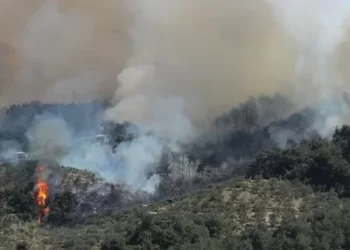 Bakan Yumaklı: Hatay’daki orman yangını kontrol altına alındı
