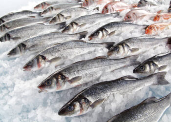 Su ürünleri ihracatı 829 milyon dolara ulaştı