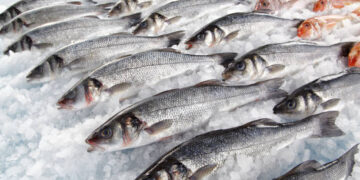 Su ürünleri ihracatı 829 milyon dolara ulaştı