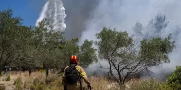 Yunanistan’da yangın söndürme uçağı düştü: 2 ölü